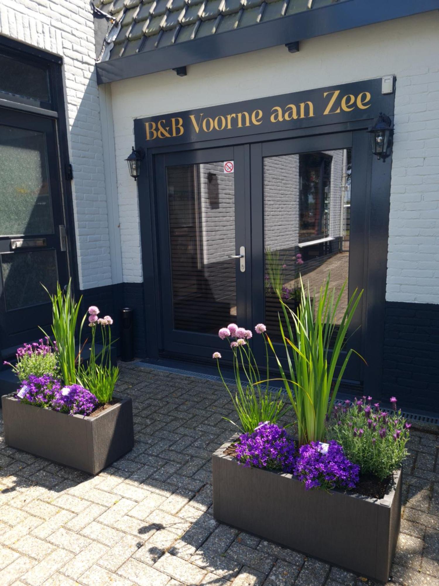 B&B Voorne Aan Zee Rockanje Exteriör bild
